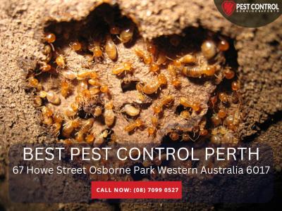 Commercial Pest Removal Perth – Expert Services - Perth Other