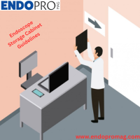 Comprehensive Endoscope Storage Cabinet Guidelines – Endopromag