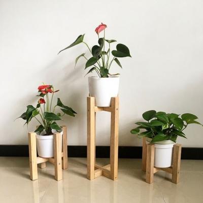 Bamboo Stands in Rajasthan - Delhi Other