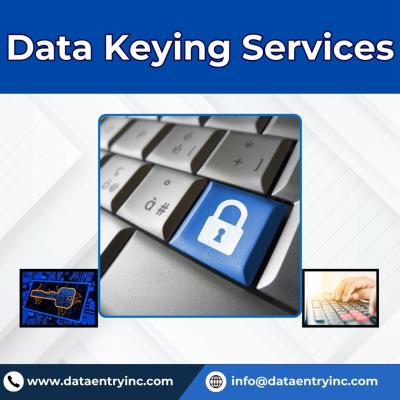 Best Data Keying Services in India - Ahmedabad Other