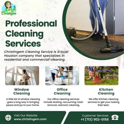 Professional Cleaning Services in Houston - Houston Other