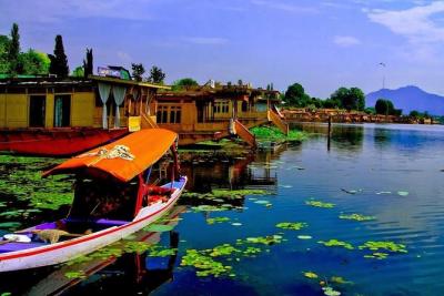 6 Days - Kashmir Tour Package - Los Angeles Other