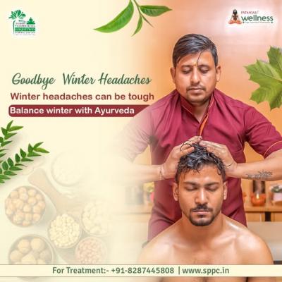 Ayurvedic Therapy In Delhi