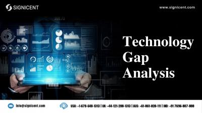 Technology Gap Analysis Services - Signicent LLP - Other Other