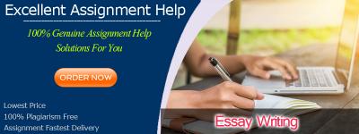 Expert Essay Help on Student Success - Sydney Other