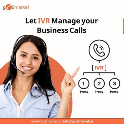 Best Hosted IVR Solution - Delhi Other