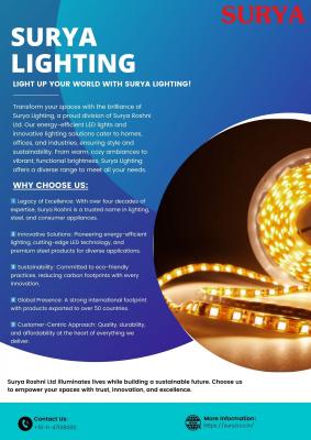 Best Branded Lighting Company - Delhi Other