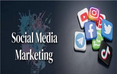 Top Social Media Marketing Provider Company in Noida