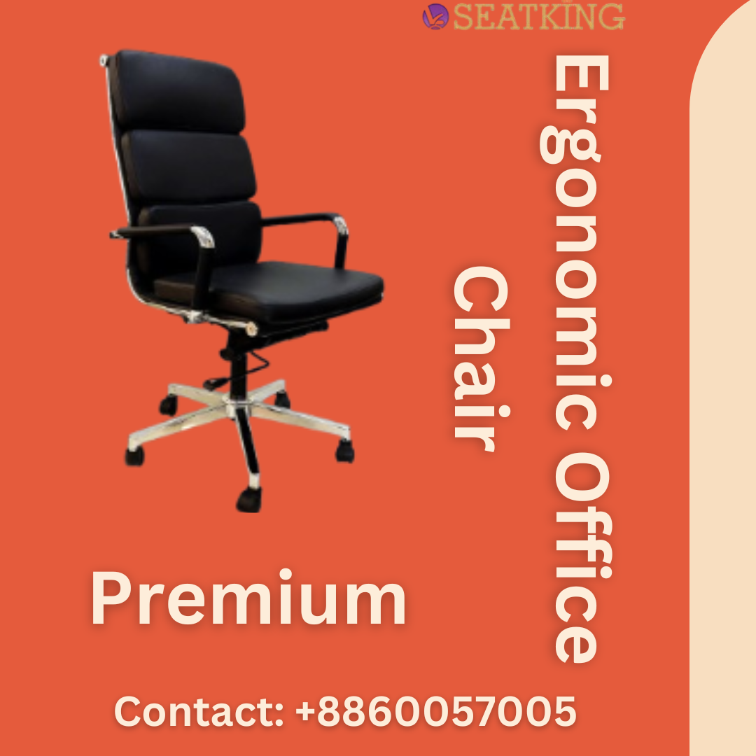 Premium Ergonomic Office Chair - Seatking - Delhi Other