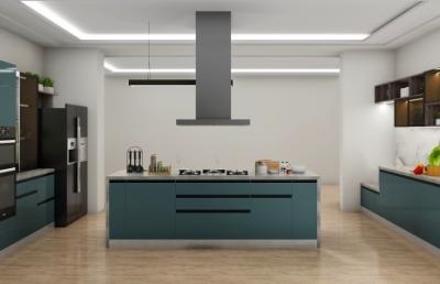 Modular Kitchen Design - Delhi Other