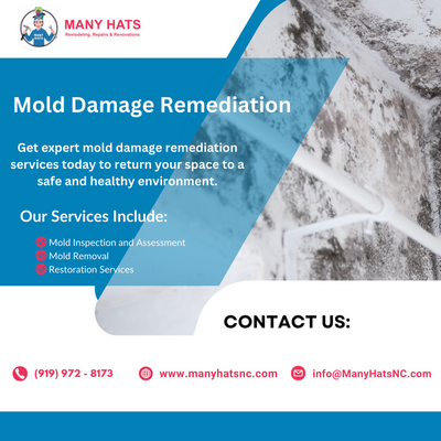 Mold Damage Remediation in Durham, Cary,Carrboro,Hillsborough,Morrisville NC