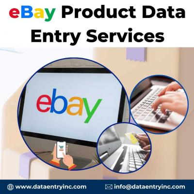 Best eBay Product Data Entry Services in India