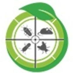 Best Pest Control Services in Hyderabad - Hyderabad Other