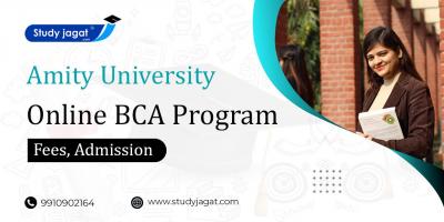 Amity University Online BCA Program - Delhi Other