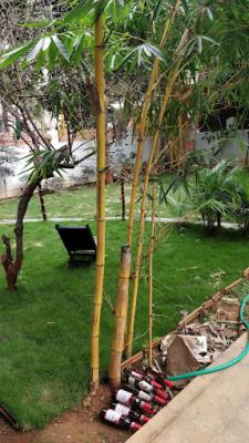 Villa8485 airways homestay  - Bangalore Other