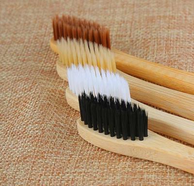 Bamboo Tooth Brushes in Maharashtra