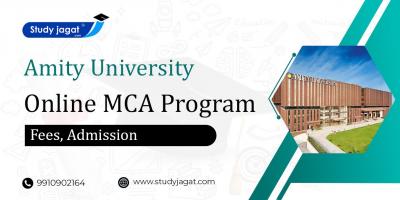 Amity University Online MCA Program Admission - Delhi Other