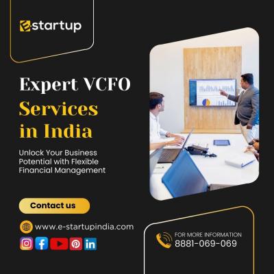 Expert Virtual CFO Services in India