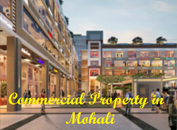 Commercial Property In Mohali - Chandigarh Other