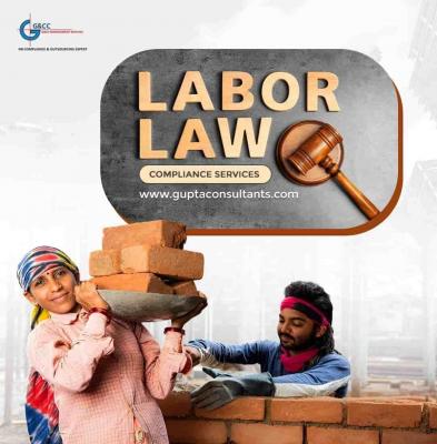 Labour Law consultants in Noida - Delhi Professional Services