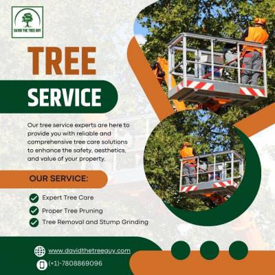 David the Tree Guy - Edmonton Professional Services