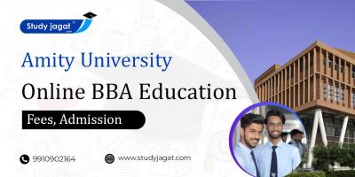 Amity University  Online BBA Education - Delhi Other