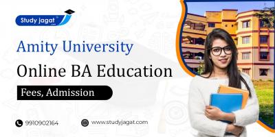 Amity University Online BA Education - Delhi Other