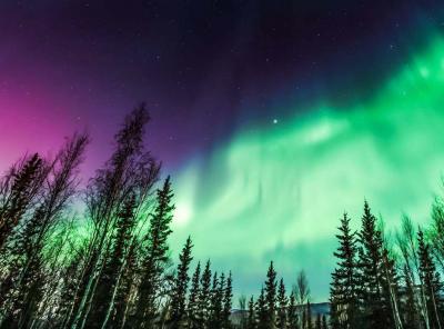 Aurora borealis tour package - Other Other