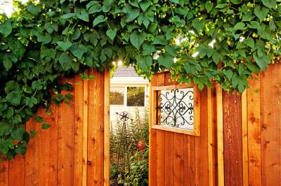 Wooden Doors - DP Door - Albuquerque Other