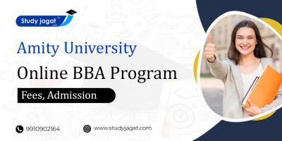 Amity University Online BBA Program Admission - Delhi Other