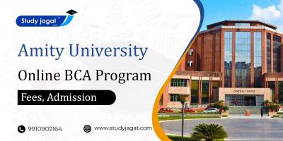 Amity University Online BCA Education - Delhi Other