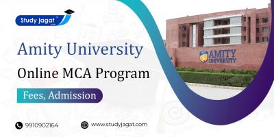 Amity University Online MCA Education - Delhi Other