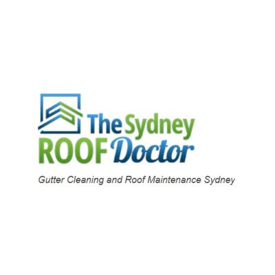 Leaking Roof? Quick Fixes & Expert Solutions - Sydney Other