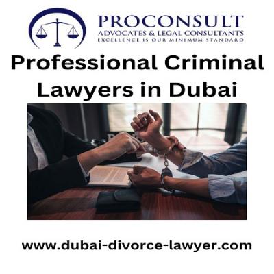 Professional Criminal Lawyers in Dubai - Abu Dhabi Other