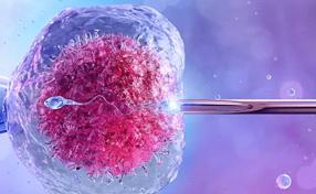 Best IVF Centre in Jasola