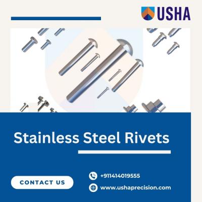 Durable Stainless Steel Rivets by Usha Precision