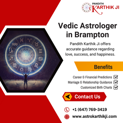 Vedic Astrologer in Brampton - Other Other