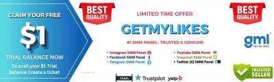 SMM Panel-GetMyLikes - Delhi Other