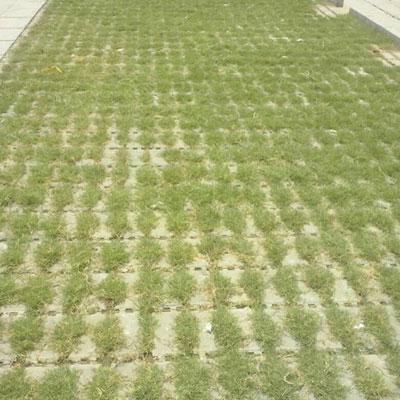 Environmental Friendly Grass Pavers by Pavers India