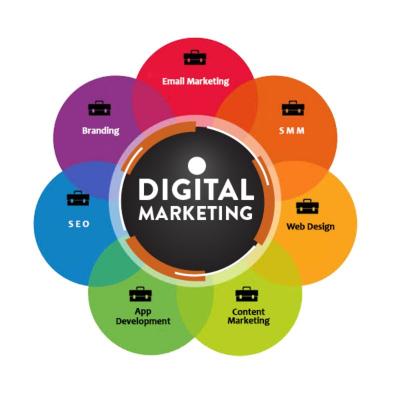 Digital Marketing Company in Jaipur