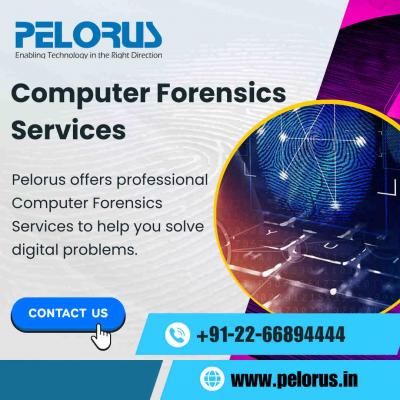 Computer Forensics Services 