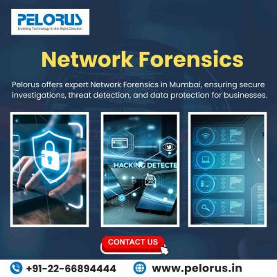 Network Forensics