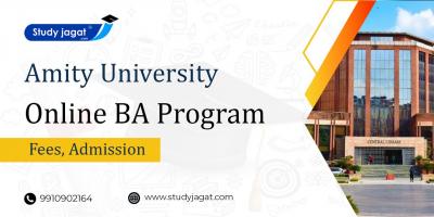 Amity University Online BA Program