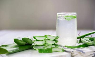 Aloe Vera Juice Suppliers in Nepal - Delhi Other