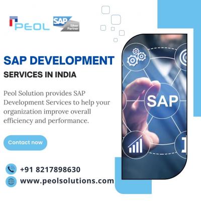 SAP Development Services in India - Bangalore Computer