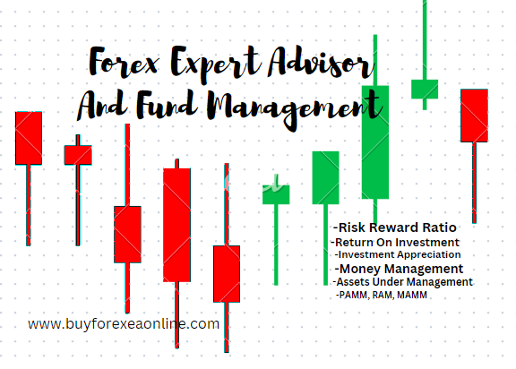 PROFESSIONAL FOREX FUND MANAGEMENT - Dubai Other