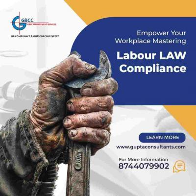 Labour Laws Compliance Services  - Delhi Professional Services