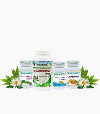 Planet Ayurveda Nephrotic Syndrome Care Pack - Other Other