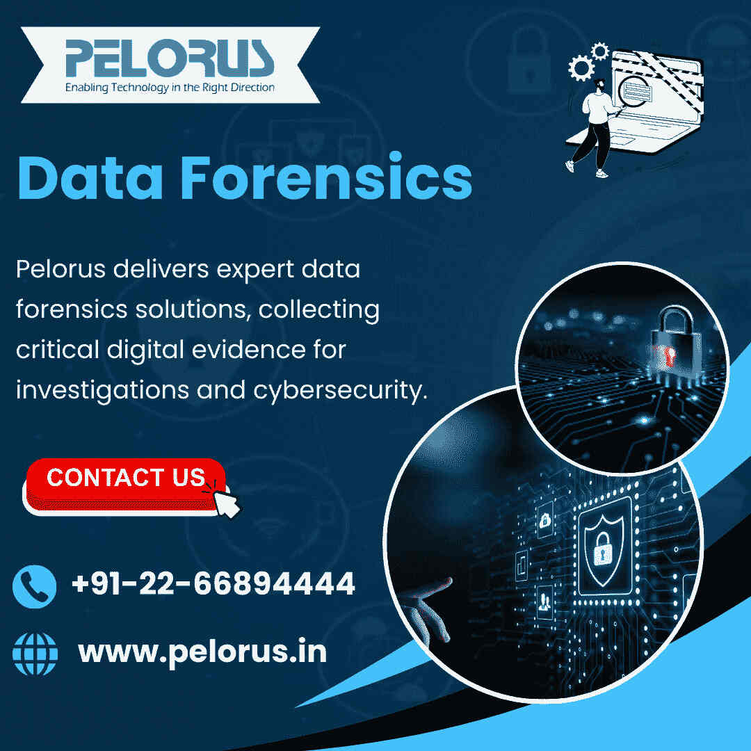 data forensics - Mumbai Other