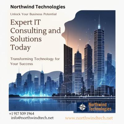 Expert IT Consulting and Solutions Today - Miami Computer